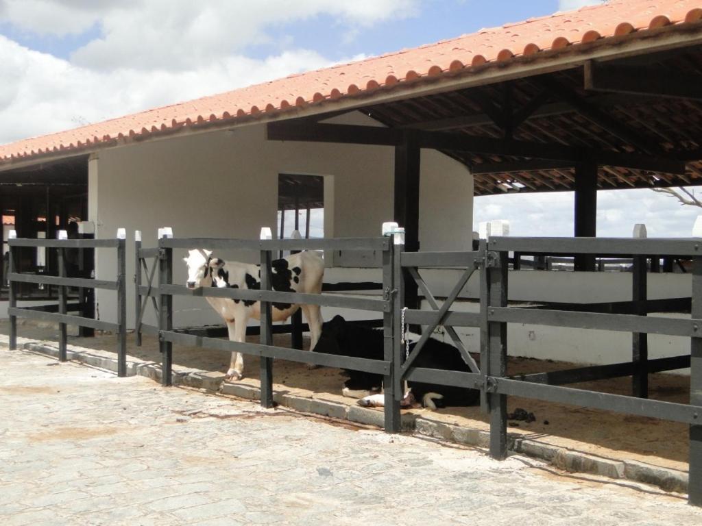 Flat Monte Castelo Em Pe Agroturismo